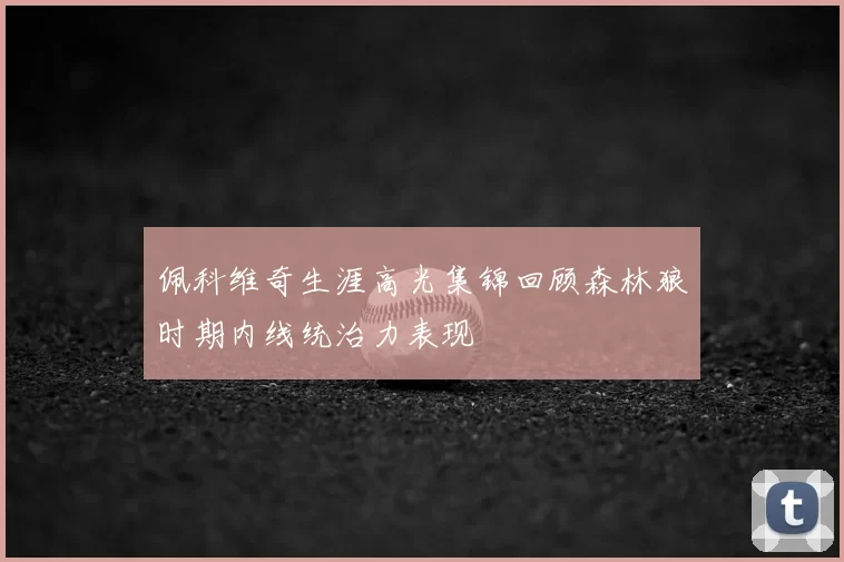 佩科维奇生涯高光集锦回顾森林狼时期内线统治力表现