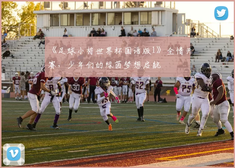 《足球小将世界杯国语版1》全情开赛,少年们的绿茵梦想启航