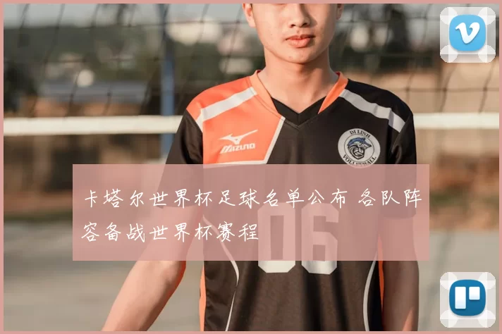 卡塔尔世界杯足球名单公布 各队阵容备战世界杯赛程