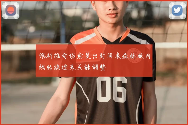 佩科维奇伤愈复出时间表森林狼内线轮换迎来关键调整
