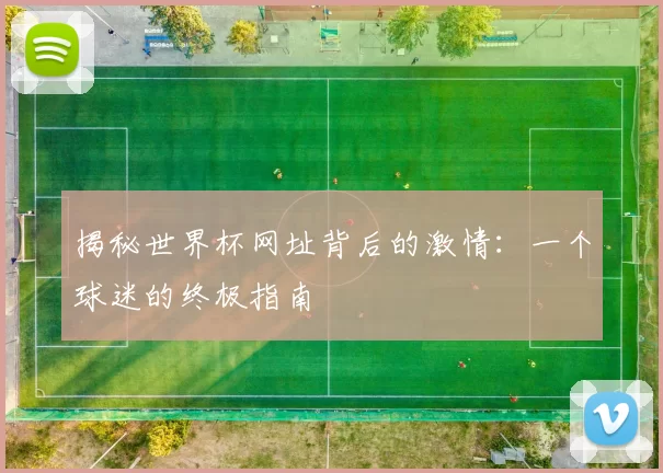 揭秘世界杯网址背后的激情：一个球迷的终极指南