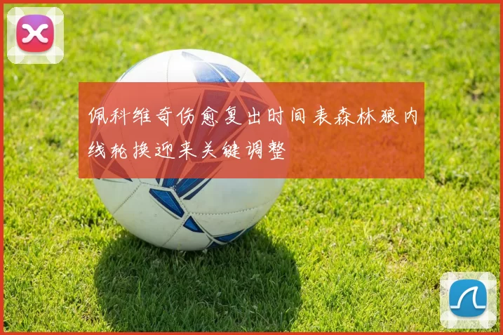 佩科维奇伤愈复出时间表森林狼内线轮换迎来关键调整
