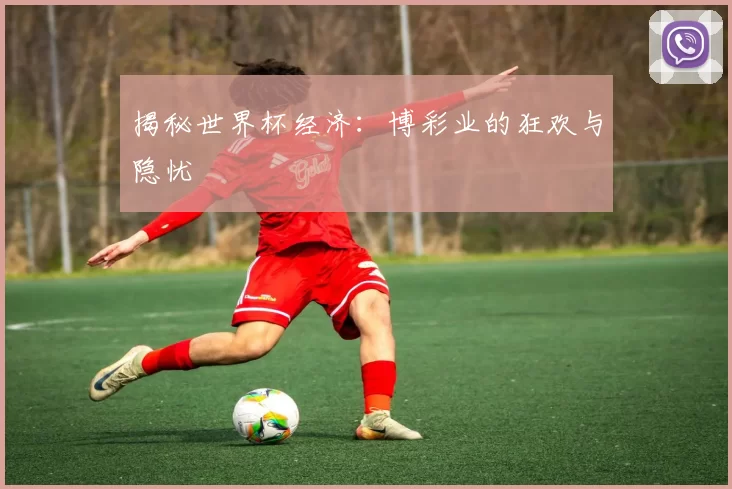 揭秘世界杯经济：博彩业的狂欢与隐忧