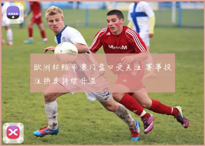 欧洲杯赔率澳门盘口受关注 赛事投注热度持续升温