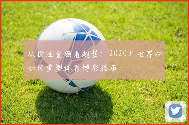 从投注金额看趋势:2020年世界杯如何重塑体育博彩格局