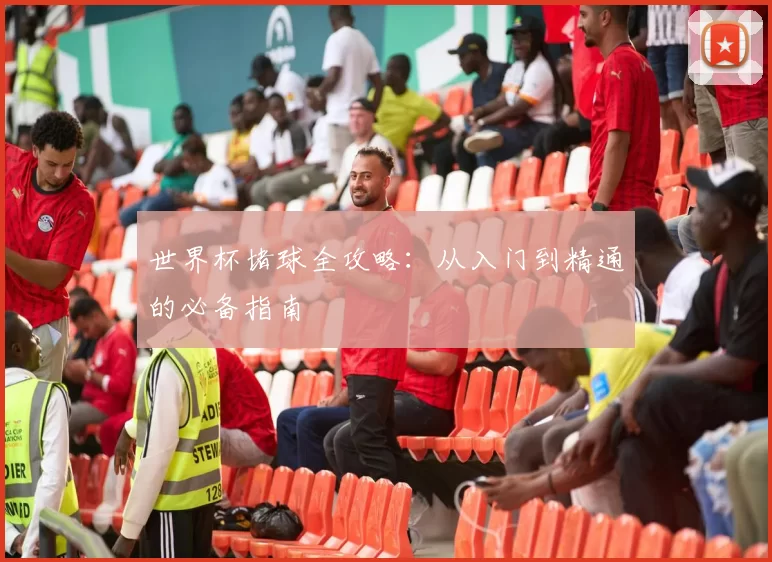 世界杯堵球全攻略:从入门到精通的必备指南