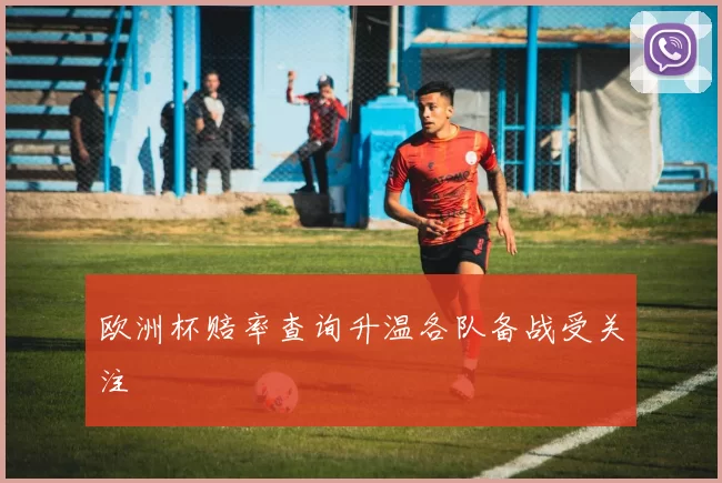 欧洲杯赔率查询升温各队备战受关注
