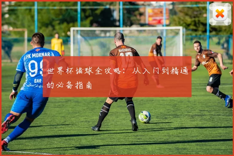 世界杯堵球全攻略:从入门到精通的必备指南