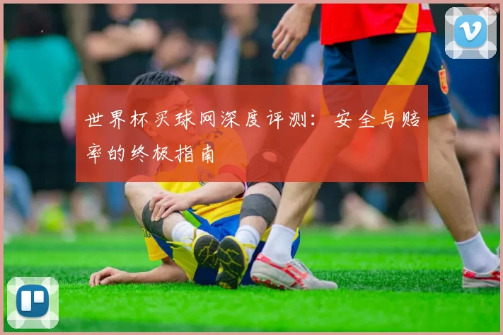 世界杯买球网深度评测：安全与赔率的终极指南