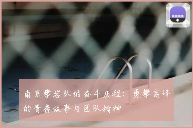 南京攀岩队的奋斗历程：勇攀高峰的青春故事与团队精神