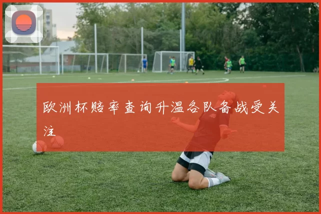 欧洲杯赔率查询升温各队备战受关注