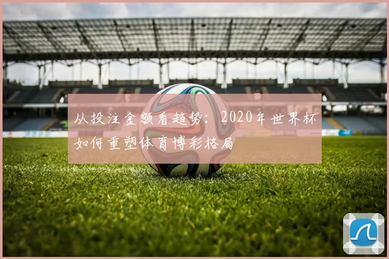 从投注金额看趋势：2020年世界杯如何重塑体育博彩格局