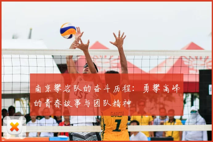 南京攀岩队的奋斗历程:勇攀高峰的青春故事与团队精神